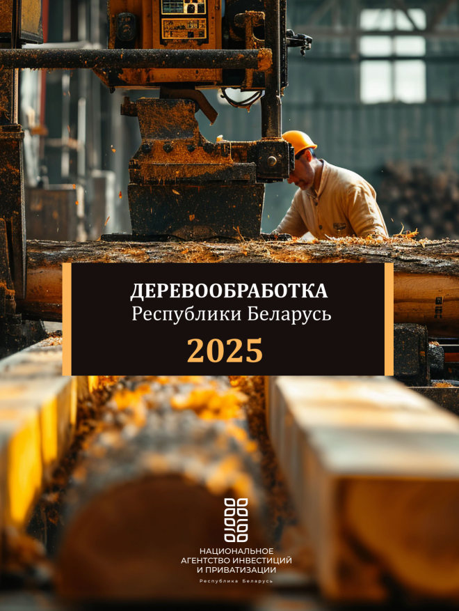 Обзор деревообработки в Беларуси в 2025 году