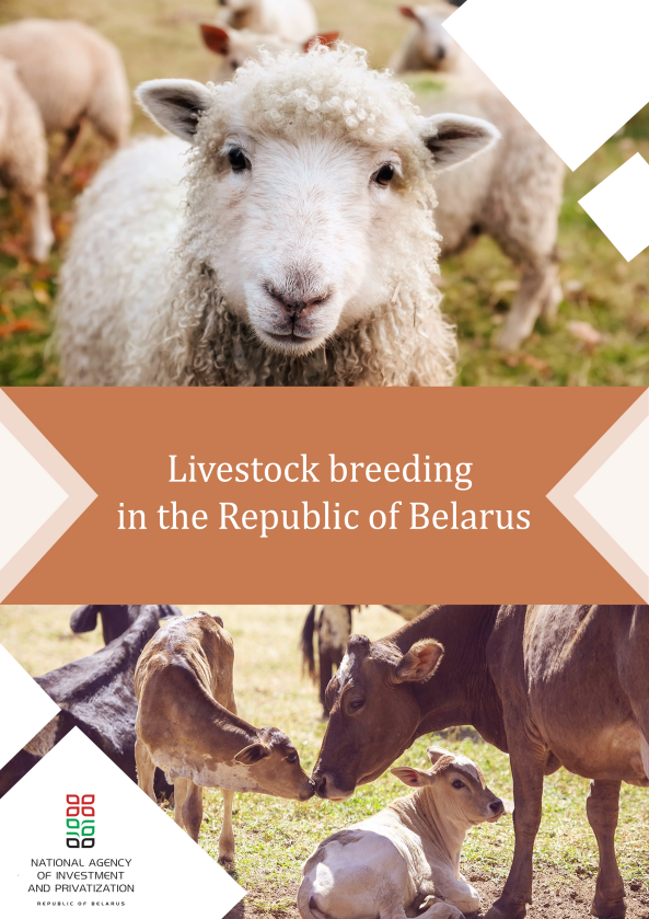 Livestock breeding in Belarus